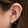 5mm Frosted Matte Round Screw Back 14K Gold Stud Earrings