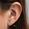 5mm Frosted Matte Round Screw Back 14K Gold Stud Earrings