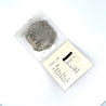 Atocha Shipwreck 8 Reale Grade 1 Coin